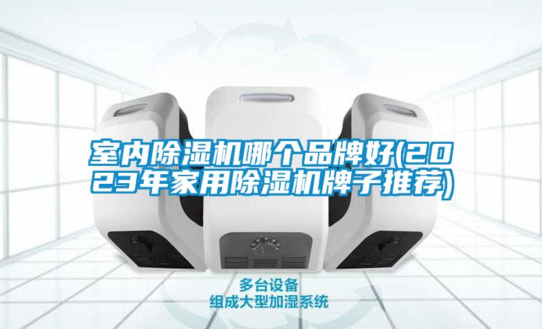 欧美黄色性爱视频网站 室内除湿机哪个品牌好(2023年家用除湿机牌子推荐)