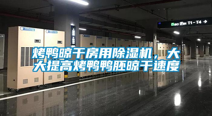 欧美成色手机在线观看 烤鸭晾干房用除湿机，大大提高烤鸭鸭胚晾干速度