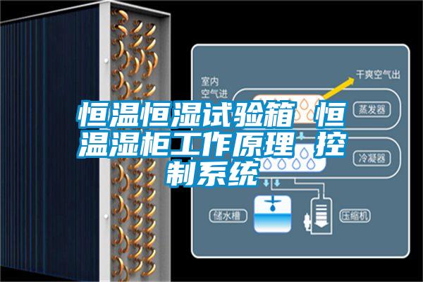 欧美黄色电影在线播放 恒温恒湿试验箱 恒温湿柜工作原理 控制系统