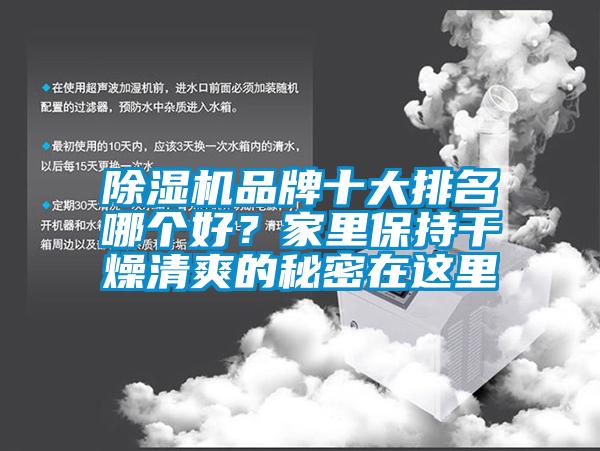 欧美成色手机在线观看 除湿机品牌十大排名哪个好？家里保持干燥清爽的秘密在这里