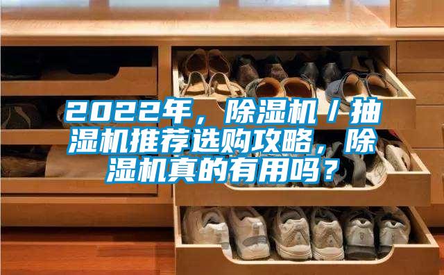 欧美黄色性爱视频网站 2022年，除湿机／抽湿机推荐选购攻略，除湿机真的有用吗？