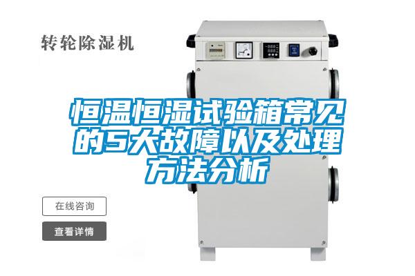 欧美黄色电影在线播放 恒温恒湿试验箱常见的5大故障以及处理方法分析