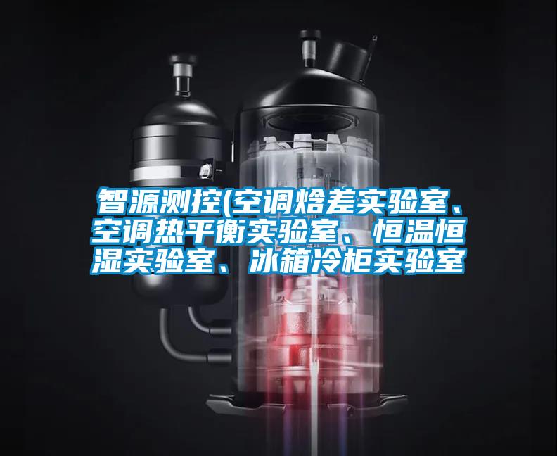 智源测控(空调焓差实验室、空调热平衡实验室、恒温恒湿实验室、冰箱冷柜实验室