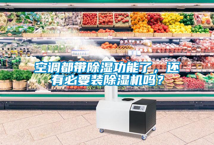 欧美成色手机在线观看 空调都带除湿功能了，还有必要装除湿机吗？