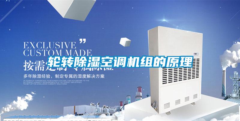 欧美黄色性爱视频网站 轮转除湿空调机组的原理