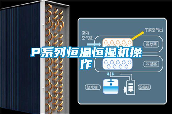 欧美黄色电影在线播放 P系列恒温恒湿机操作
