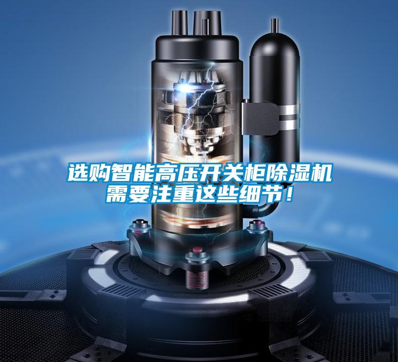 欧美黄色性爱视频网站 选购智能高压开关柜除湿机需要注重这些细节！
