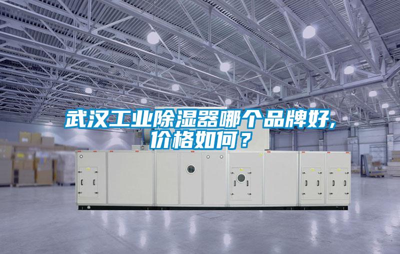 欧美成色手机在线观看 武汉工业除湿器哪个品牌好,价格如何？