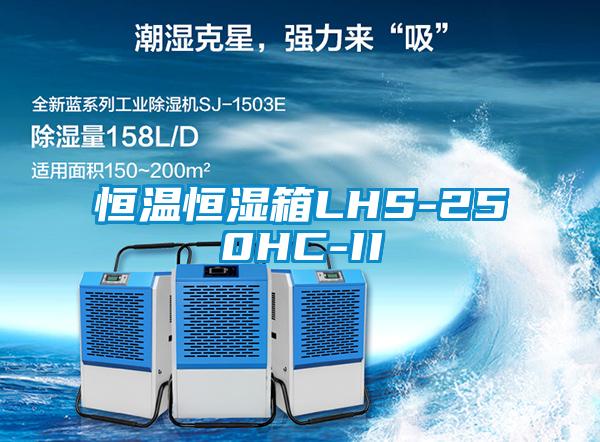 欧美成色手机在线观看 恒温恒湿箱LHS-250HC-II