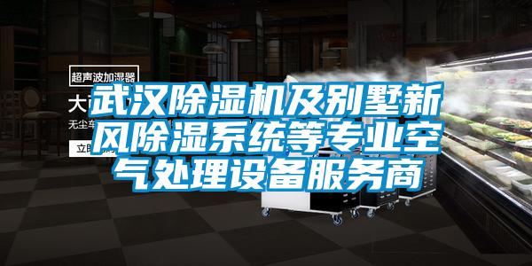 欧美黄色电影在线播放 武汉除湿机及别墅新风除湿系统等专业空气处理设备服务商