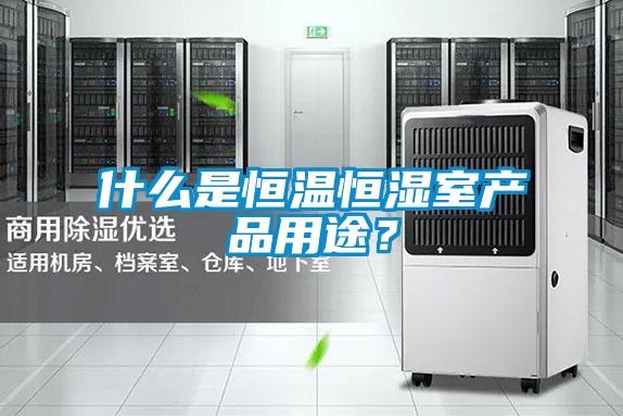 欧美黄色电影在线播放 什么是恒温恒湿室产品用途？