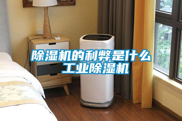 欧美黄色性爱视频网站 除湿机的利弊是什么 工业除湿机