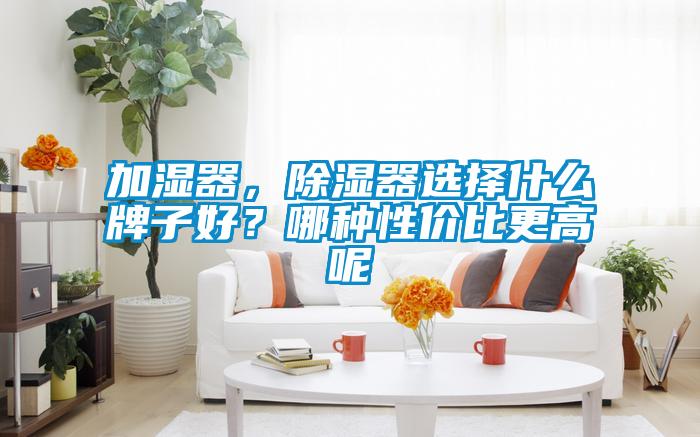 欧美黄色电影在线播放 加湿器，除湿器选择什么牌子好？哪种性价比更高呢