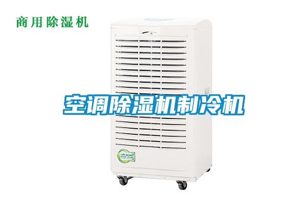 欧美黄色性爱视频网站 空调除湿机制冷机