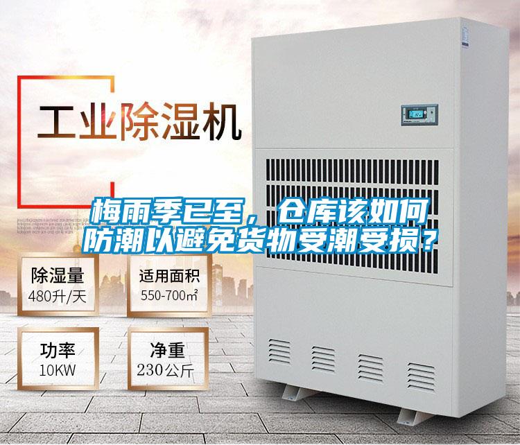 欧美成色手机在线观看 梅雨季已至，仓库该如何防潮以避免货物受潮受损？