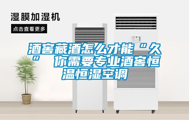 欧美黄色性爱视频网站 酒窖藏酒怎么才能“久” 你需要专业酒窖恒温恒湿空调