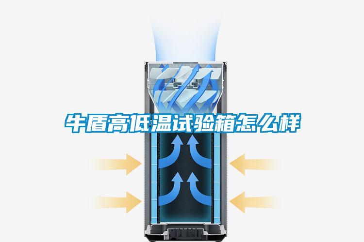 欧美黄色电影在线播放 牛盾高低温试验箱怎么样