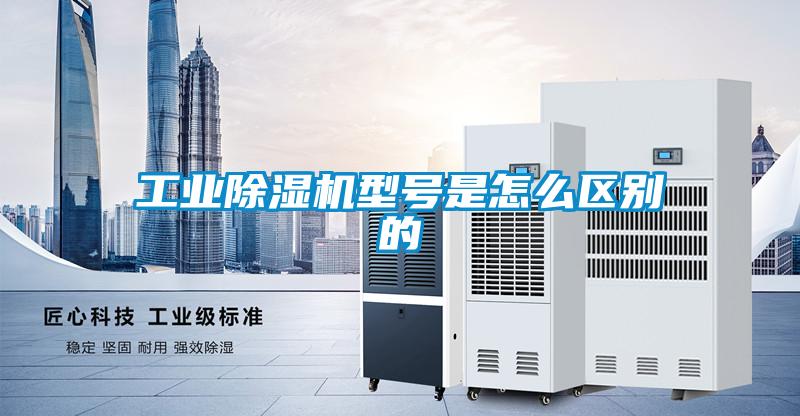 欧美成色手机在线观看 工业除湿机型号是怎么区别的