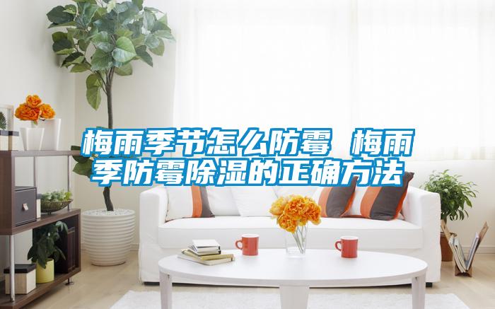 欧美成色手机在线观看 梅雨季节怎么防霉 梅雨季防霉除湿的正确方法