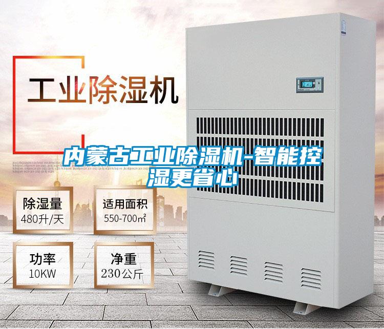 欧美成色手机在线观看 内蒙古工业除湿机-智能控湿更省心