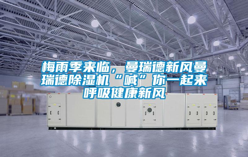 欧美成色手机在线观看 梅雨季来临，曼瑞德新风曼瑞德除湿机“喊”你一起来呼吸健康新风