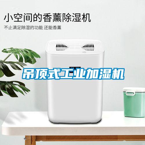 欧美成色手机在线观看 吊顶式工业加湿机