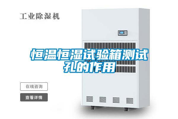 欧美黄色电影在线播放 恒温恒湿试验箱测试孔的作用