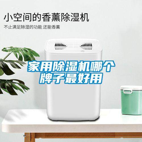 欧美黄色电影在线播放 家用除湿机哪个牌子最好用