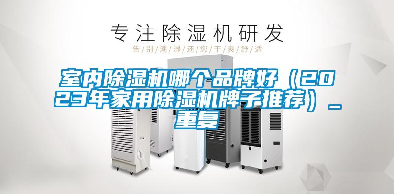 欧美黄色电影在线播放 室内除湿机哪个品牌好（2023年家用除湿机牌子推荐）_重复