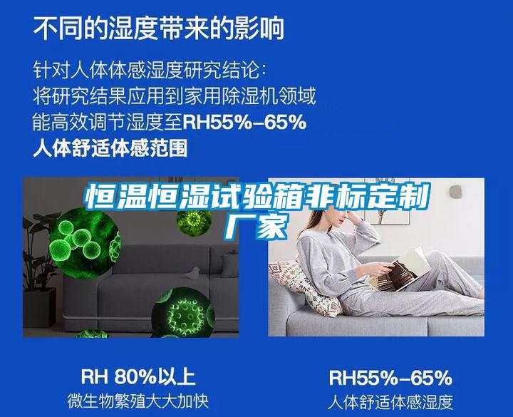欧美成色手机在线观看 恒温恒湿试验箱非标定制厂家