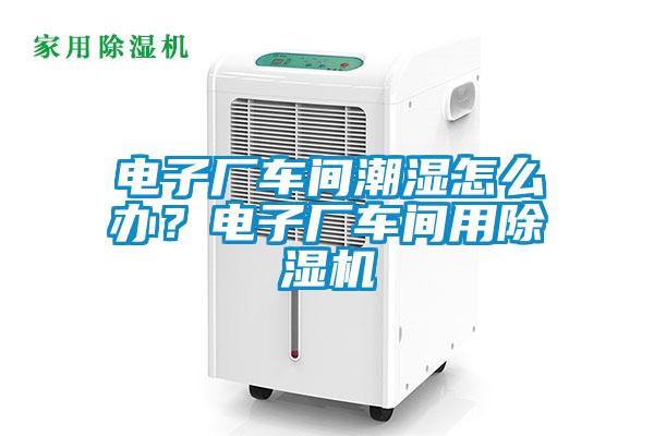 欧美黄色电影在线播放 电子厂车间潮湿怎么办？电子厂车间用除湿机