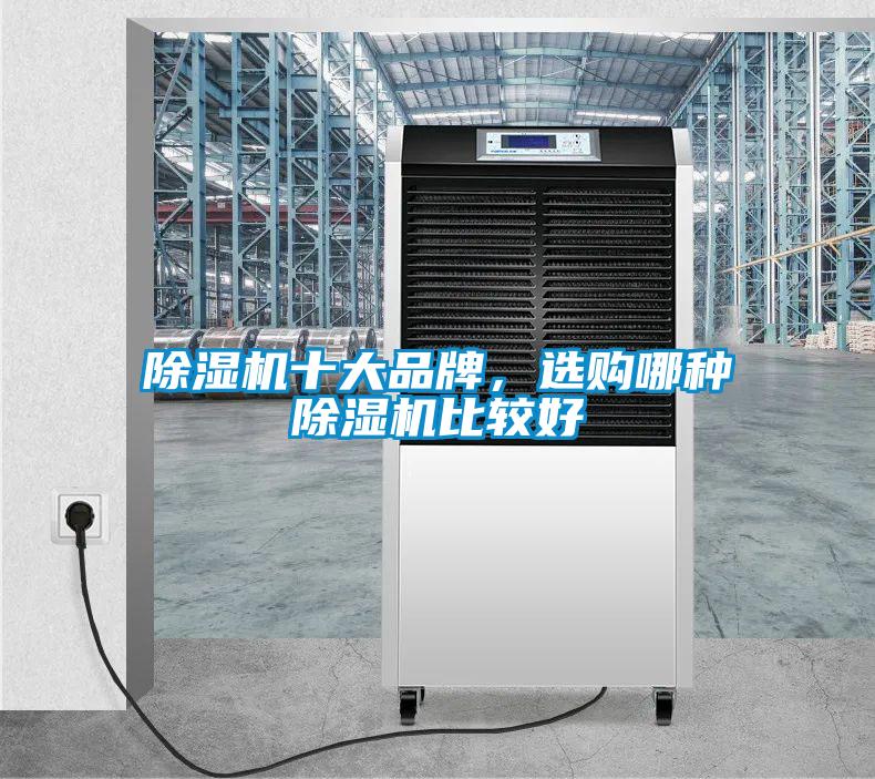 欧美成色手机在线观看 除湿机十大品牌，选购哪种除湿机比较好