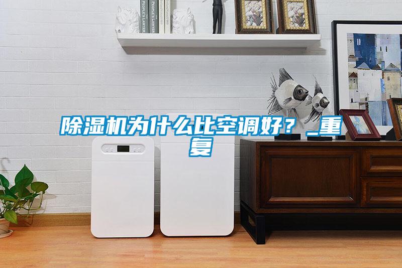 欧美黄色性爱视频网站 除湿机为什么比空调好？_重复