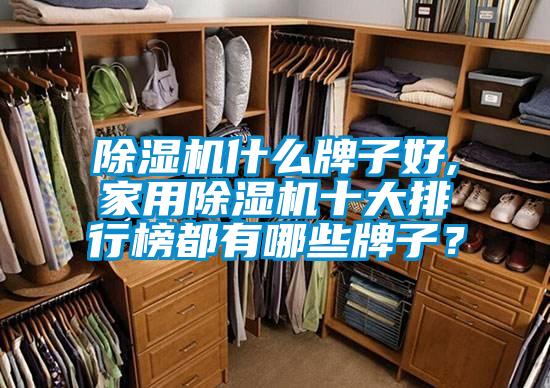 欧美成色手机在线观看 除湿机什么牌子好,家用除湿机十大排行榜都有哪些牌子？