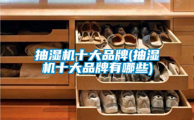 欧美黄色电影在线播放 抽湿机十大品牌(抽湿机十大品牌有哪些)