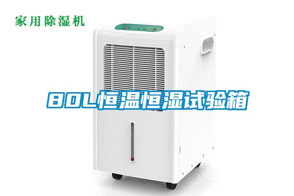 欧美黄色电影在线播放 80L恒温恒湿试验箱