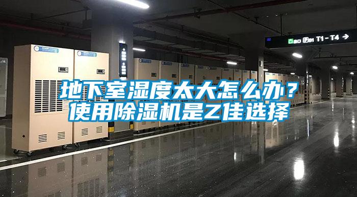 欧美黄色性爱视频网站 地下室湿度太大怎么办？使用除湿机是Z佳选择