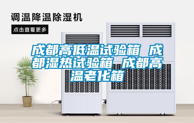 欧美黄色性爱视频网站 成都高低温试验箱 成都湿热试验箱 成都高温老化箱