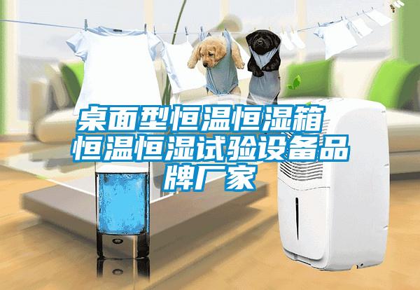 欧美黄色电影在线播放 桌面型恒温恒湿箱 恒温恒湿试验设备品牌厂家