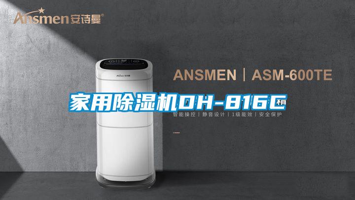 欧美黄色性爱视频网站 家用除湿机DH-816C