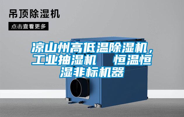 欧美黄色性爱视频网站 凉山州高低温除湿机，工业抽湿机  恒温恒湿非标机器
