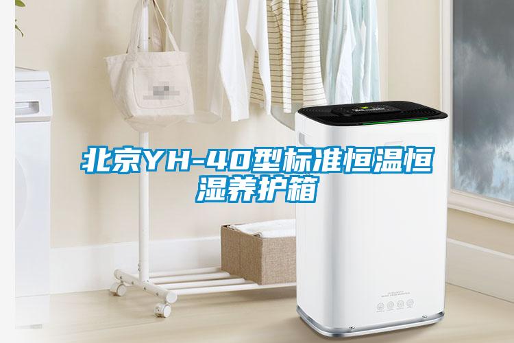 欧美黄色性爱视频网站 北京YH-40型标准恒温恒湿养护箱