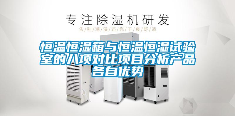 欧美黄色性爱视频网站 恒温恒湿箱与恒温恒湿试验室的八项对比项目分析产品各自优势