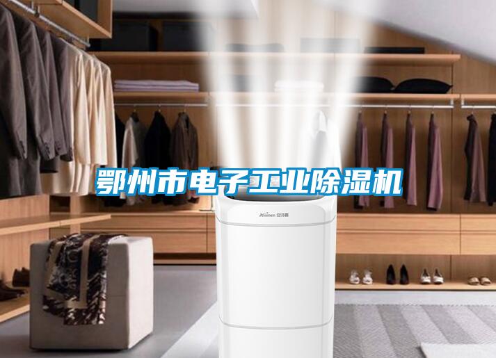 欧美黄色电影在线播放 鄂州市电子工业除湿机