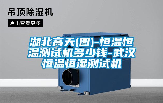 欧美黄色电影在线播放 湖北高天(图)-恒湿恒温测试机多少钱-武汉恒温恒湿测试机