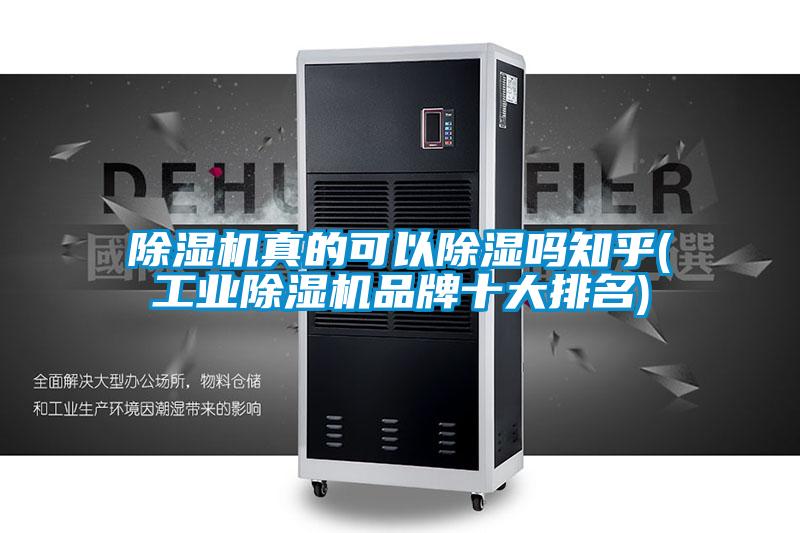 欧美黄色电影在线播放 除湿机真的可以除湿吗知乎(工业除湿机品牌十大排名)
