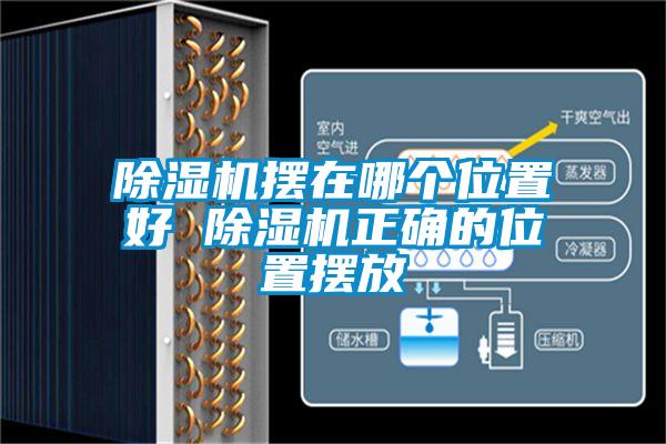 欧美黄色电影在线播放 除湿机摆在哪个位置好 除湿机正确的位置摆放