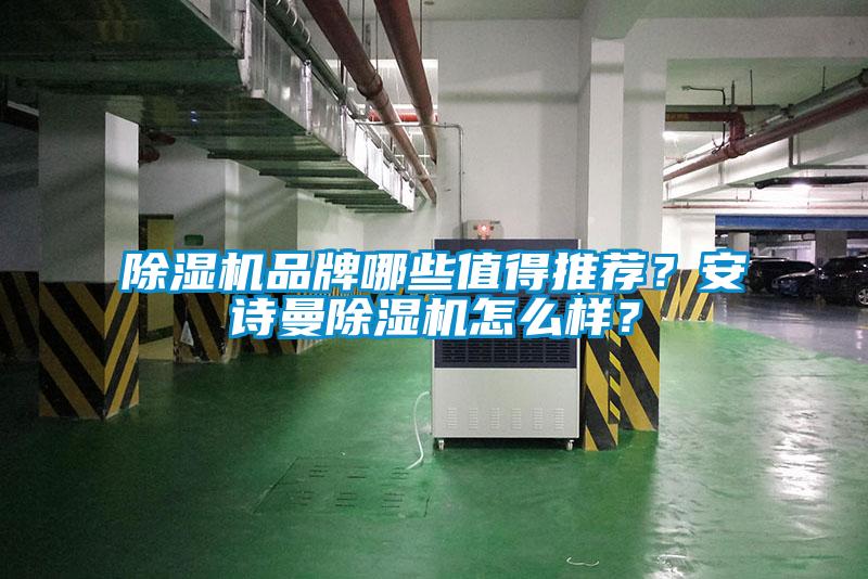 欧美黄色性爱视频网站 除湿机品牌哪些值得推荐？安诗曼除湿机怎么样？