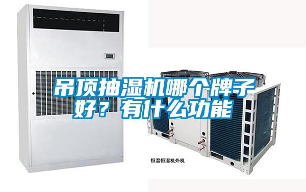 欧美成色手机在线观看 吊顶抽湿机哪个牌子好？有什么功能