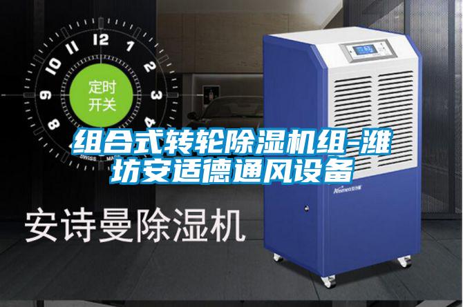 欧美黄色电影在线播放 组合式转轮除湿机组-潍坊安适德通风设备